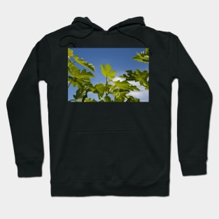 Fig Leaves Hoodie